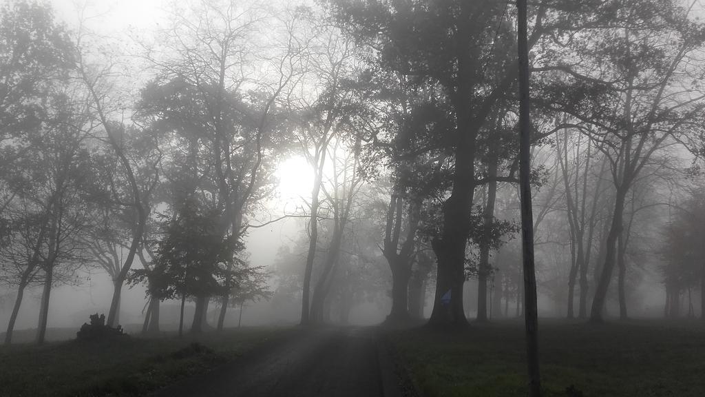 Séjour à la campagne Entrecastanos Onís