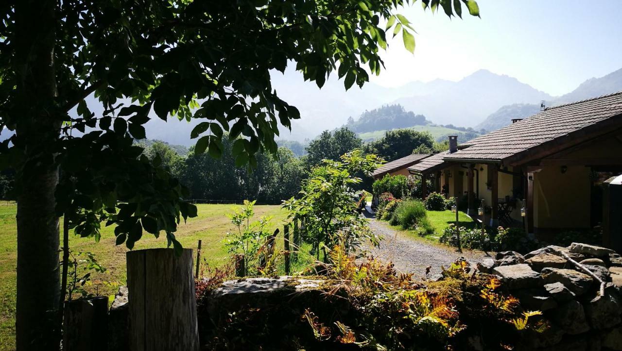 Entrecastanos Country house