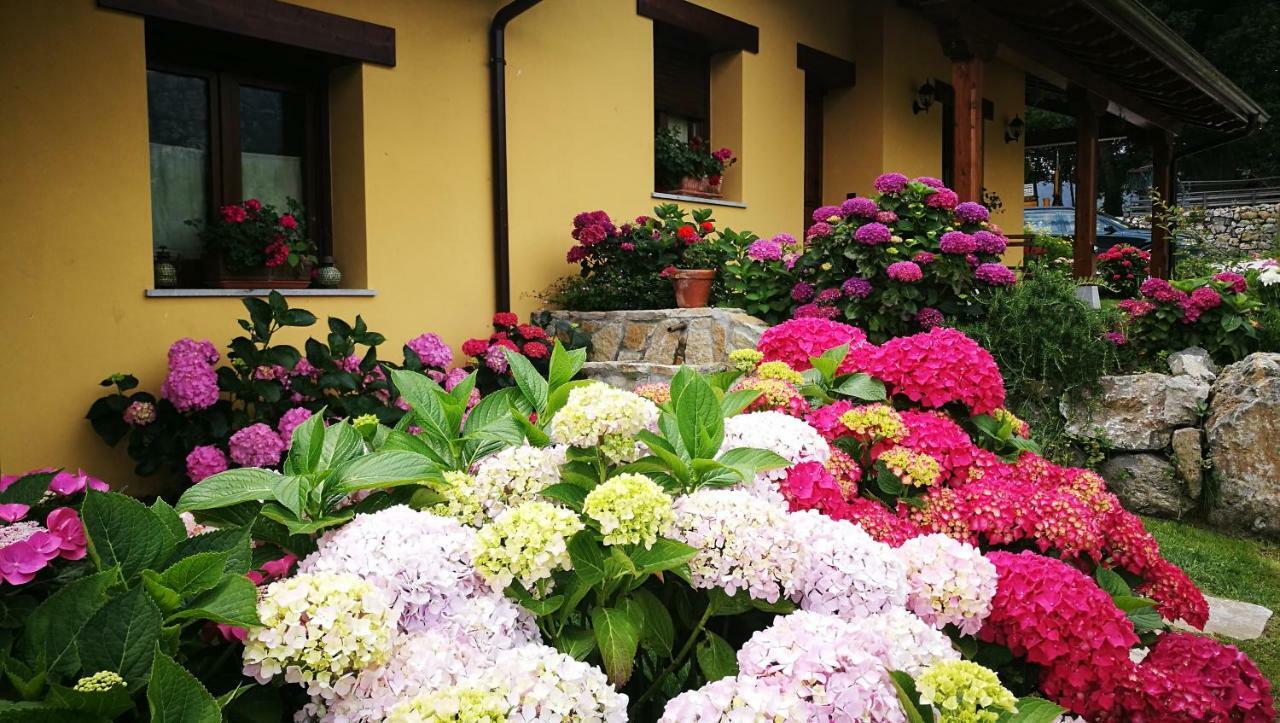 Entrecastanos Country house Cangas de Onis